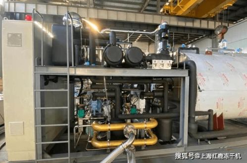 新型食品真空冷凍干燥機(jī)