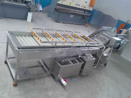 四季香蔥清洗風(fēng)干線與小蔥清洗線 高效清洗技術(shù)與新型汽輪機的研發(fā)及銷售